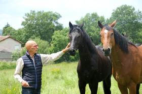 Paul et ses chevaux